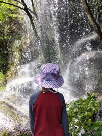 zs_0120.webp