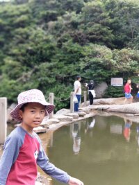 zs_0139.webp