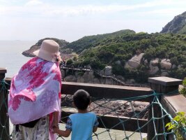 zs_0148.webp