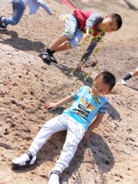 zs_0158.webp