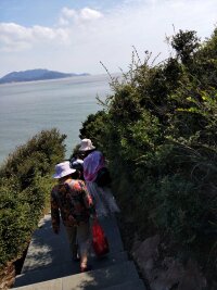 zs_0167.webp