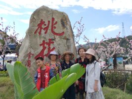 zs_0176.webp
