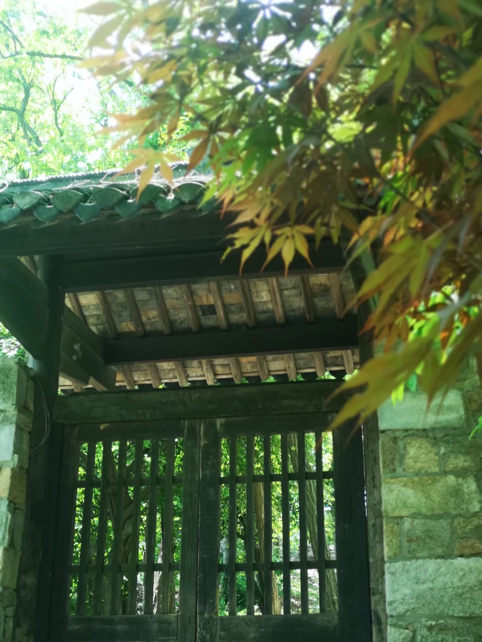 lysz_0008.webp
