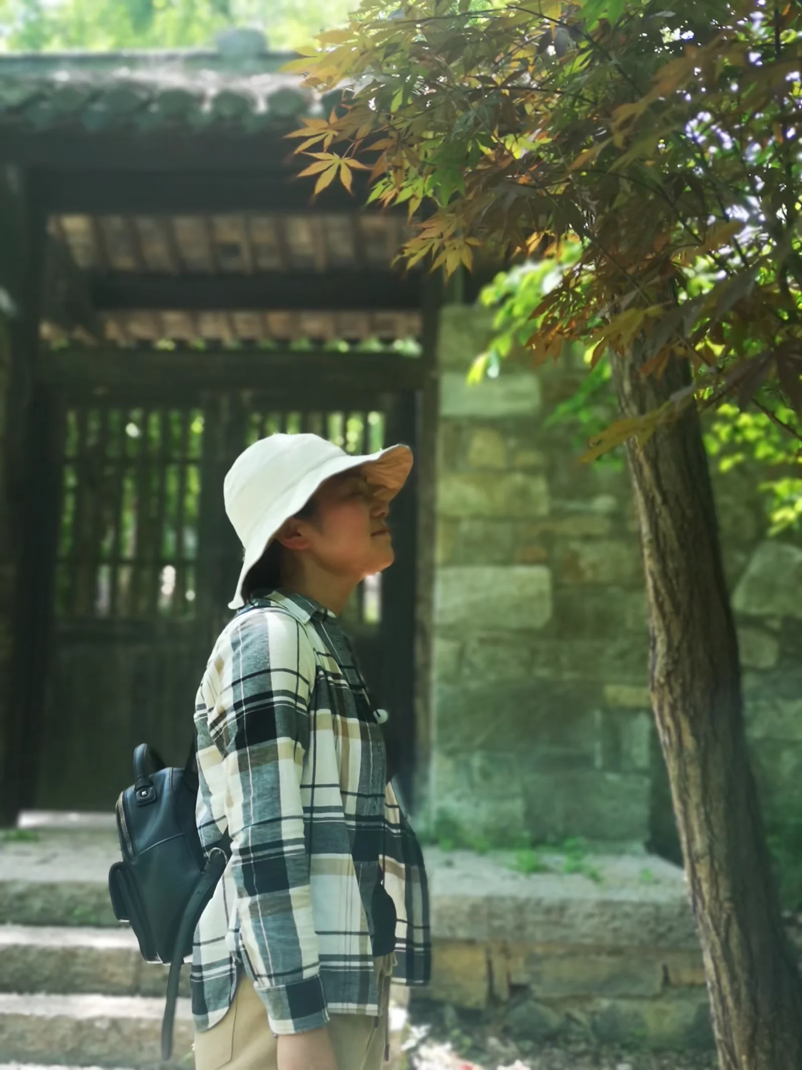 lysz_0010.webp