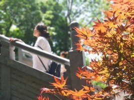 lysz_0011.webp