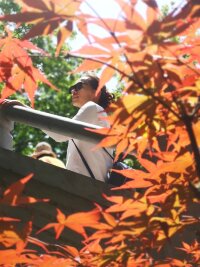 lysz_0012.webp