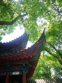 lysz_0016.webp