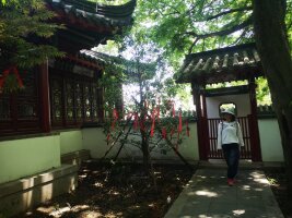 lysz_0017.webp