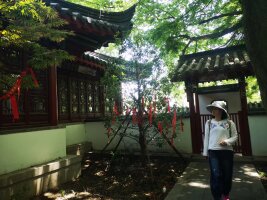 lysz_0018.webp