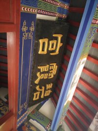 lysz_0020.webp