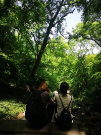 lysz_0027.webp