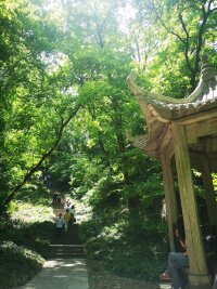 lysz_0038.webp