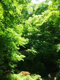 lysz_0047.webp