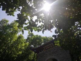 lysz_0052.webp