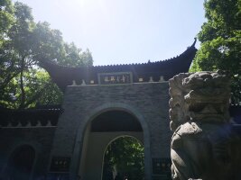 lysz_0053.webp