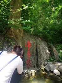 lysz_0054.webp