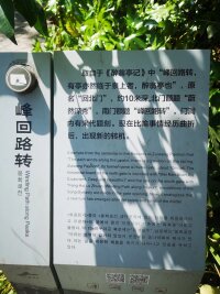 lysz_0055.webp