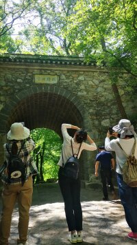 lysz_0056.webp