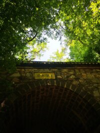 lysz_0057.webp