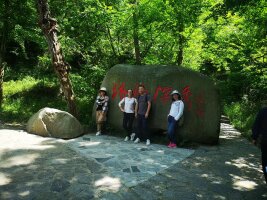 lysz_0061.webp
