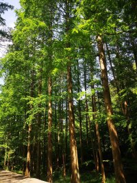 lysz_0062.webp