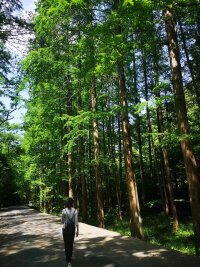 lysz_0064.webp