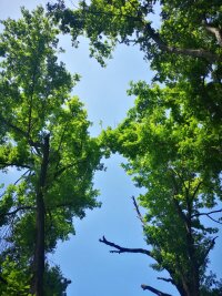 lysz_0072.webp