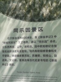 lysz_0076.webp