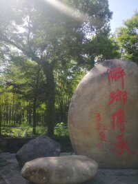 lysz_0078.webp