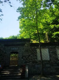 lysz_0080.webp