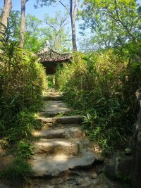 lysz_0081.webp