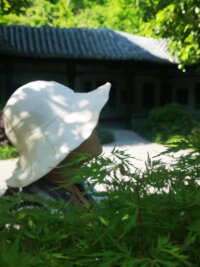 lysz_0082.webp