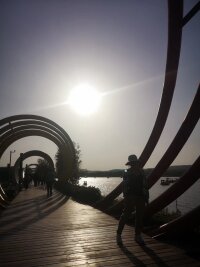 lysz_0097.webp