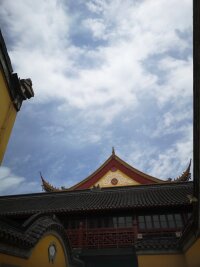 lysz_0116.webp