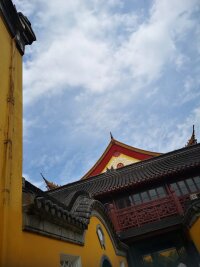 lysz_0118.webp