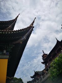 lysz_0119.webp