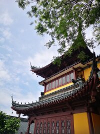 lysz_0123.webp