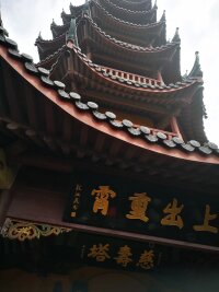 lysz_0125.webp