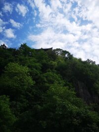lysz_0131.webp