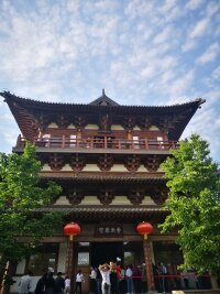 lysz_0170.webp