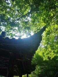 lysz_0198.webp