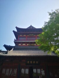 lysz_0200.webp