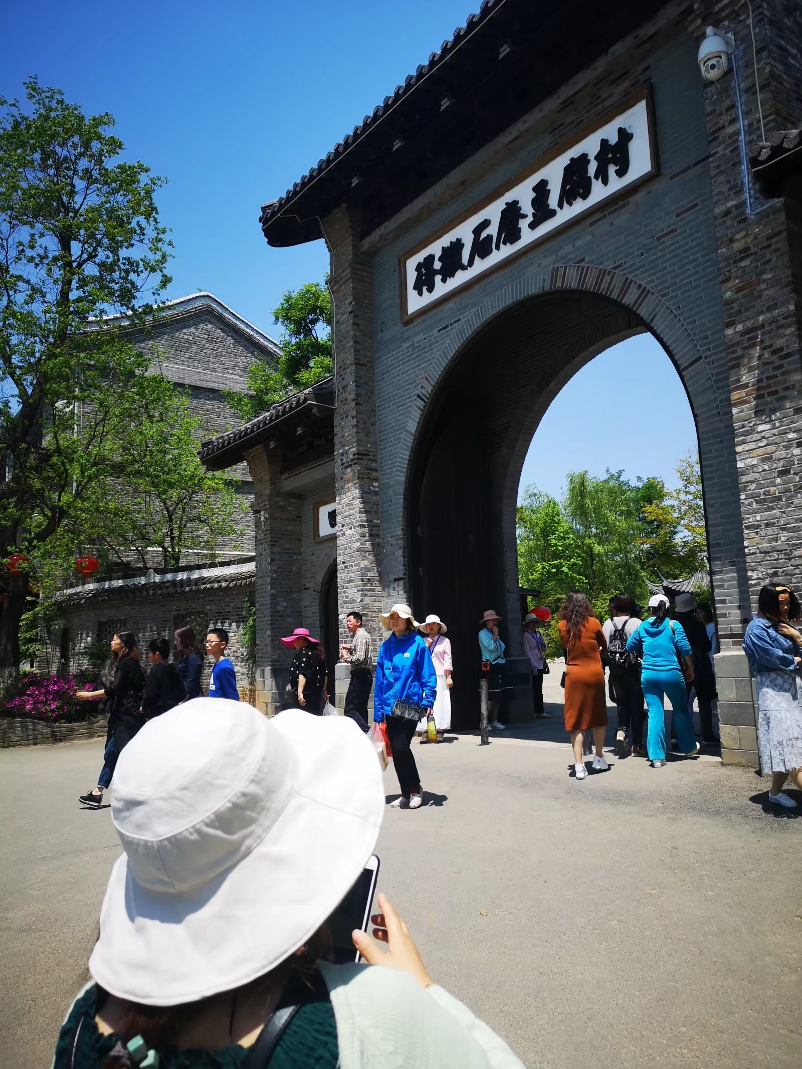 lysz_0202.webp