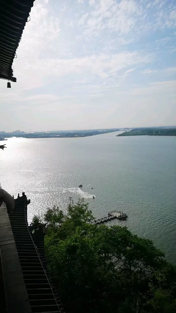 lysz_0205.webp