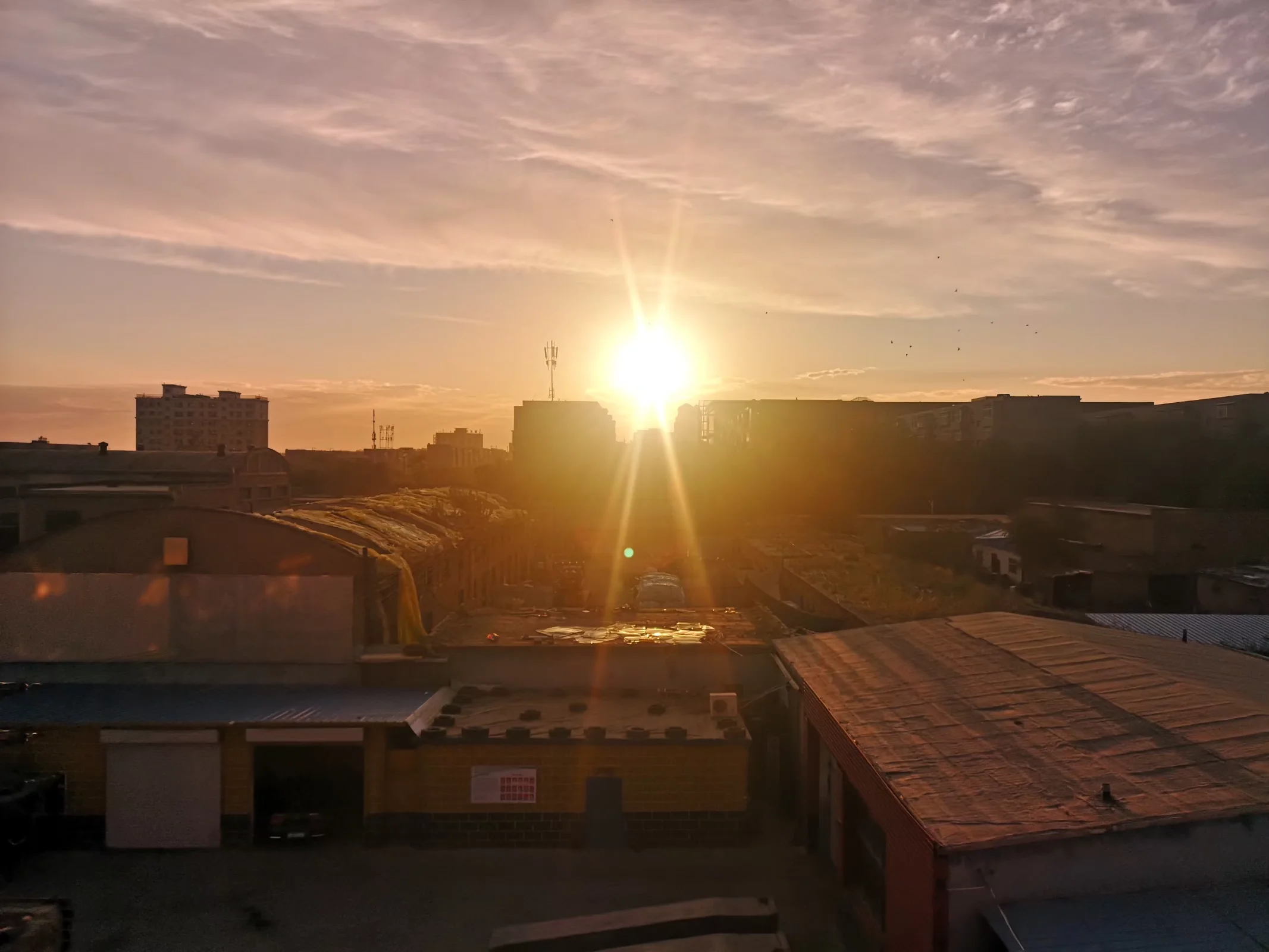 xj_0007.webp