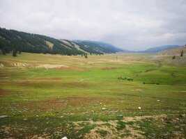 xj_0018.webp
