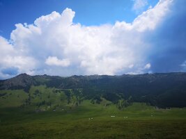 xj_0020.webp