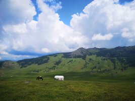 xj_0023.webp