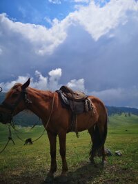 xj_0030.webp