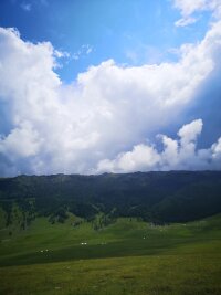 xj_0031.webp